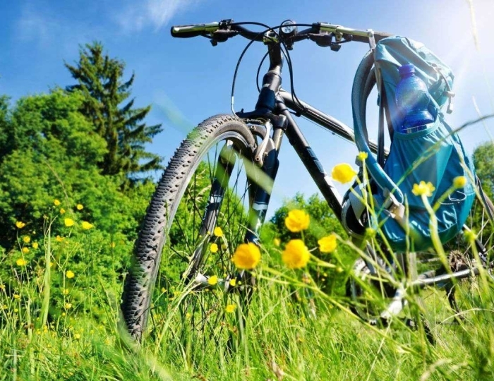 Пункт проката - Санаторий «Малая бухта»